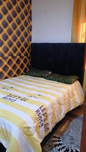 The stream apartment