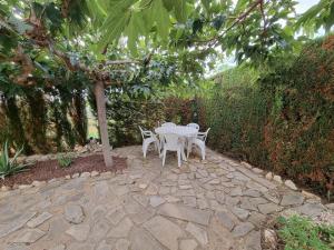 ARENDA Isla