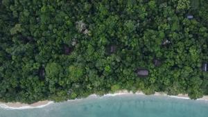 EcoLodge Antaliaviana