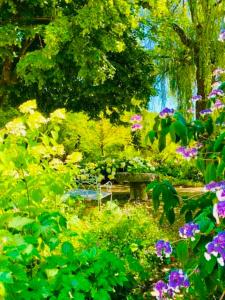 Les jardins extraordinaires