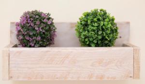 Economy Doppel-/Zweibettzimmer