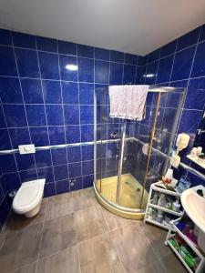 Apartman Mimoza Bu2