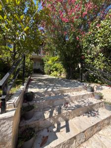Apartman Damir