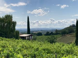 Appartamento Etrusco auf der Locanda Cicolina