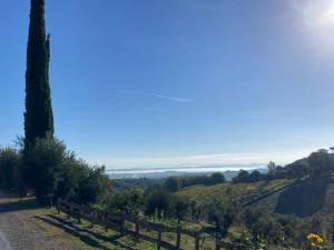 Appartamento Etrusco auf der Locanda Cicolina