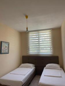 Lisus Apartment
