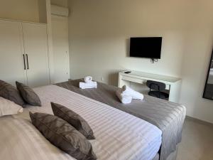 NEW Villa Renata