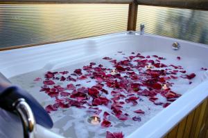 Glamping con Jacuzzi y Hermosa Vista al Valle