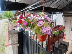 ,,Dor de Munte,, Casuta nr 24 -Complex de Pensiuni si Casute la Munte