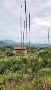 Cabaña Refugio del Silencio Ixmiquilpan