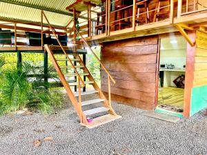 Berakam Pura Vida Near La Fortuna