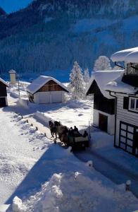 Apartment Haarlem Gosau