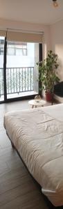 VIP Suite Antofagasta