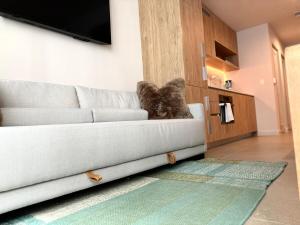 C8032 Comfort in the heart of Downtown Miami