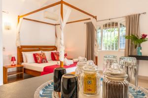 Casa Mapache Pool and Breakfast Included near Tamarindo Beach