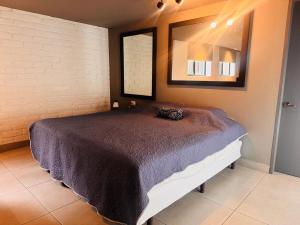 Essenz Loft