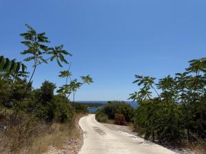 Luxury Villa Pontus
