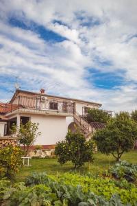 Apartments with parking space Basanija, Umag - 27203