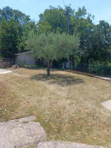 Apartments with parking space Novi Vinodolski - 27824