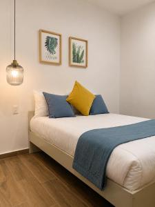 Aloja Rentals Mexico