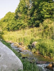 The Perch Glamping by Rafting