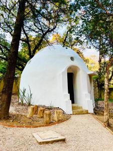 La cabaña del jaguar