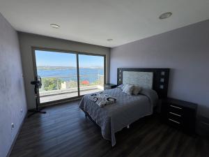 Casa Cisne