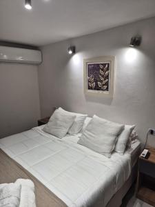 Arena Suite LR