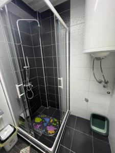 Apartment Metulevi