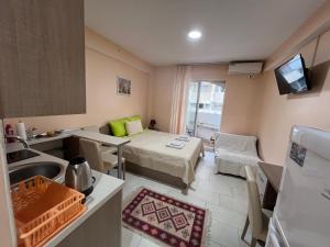Apartment Metulevi