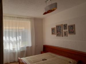 Park view apartment
