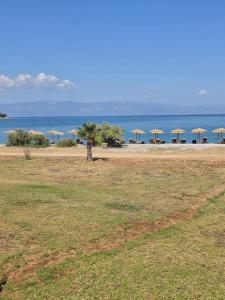 Magenta Beach