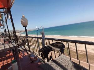 Apartment rental for vacations