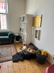 Petrol Pack apartmán
