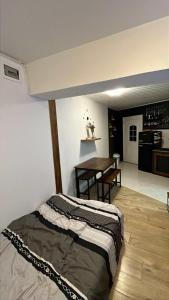 Parenzana Apartment