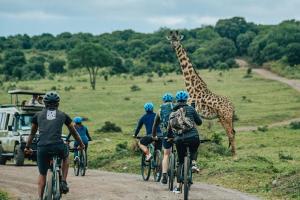 Giraffe Gallery Home