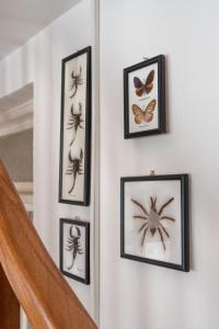 Sokaki Boutique Home