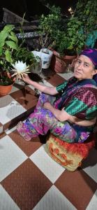 Aakriti homestey