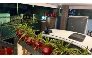 Eden Gardens Home Stay - Coimbatore