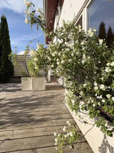 Luxury home close to the old town and the beach