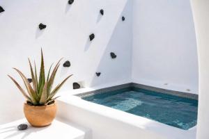 Two Gods Santorini Premium Jacuzzi Sea View Suites