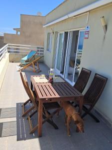 Kala de mar