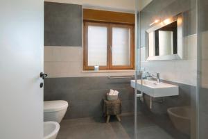 Cepage apartment Peschiera del Garda Wineyard view
