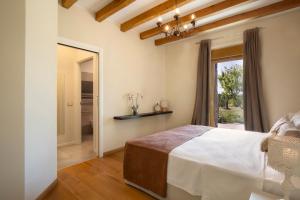 Cepage apartment Peschiera del Garda Wineyard view