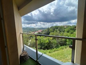 Rooms in an Apartment with Beautiful Views