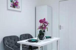 TOS Luxury Modern Private Studio