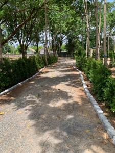 Riverside Glamping Resort Kanchanaburi