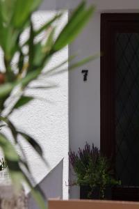 Garden Apartment