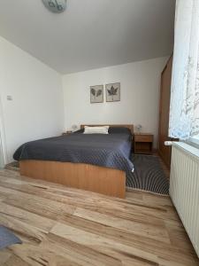 apartmani.miletic 1
