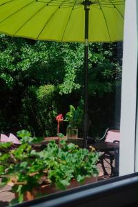 Garden Apartment